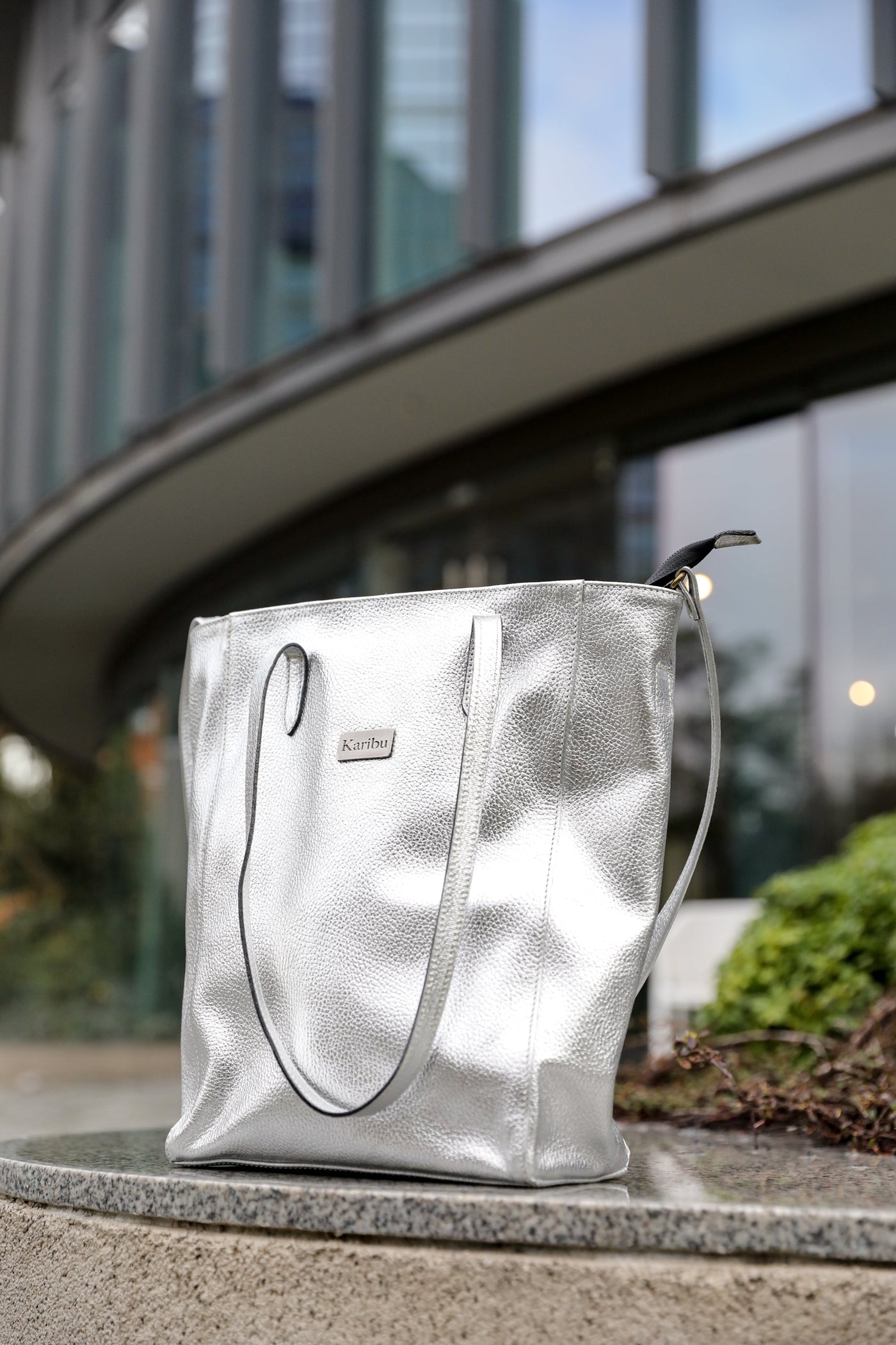 Portefeuille argenté Jacinta